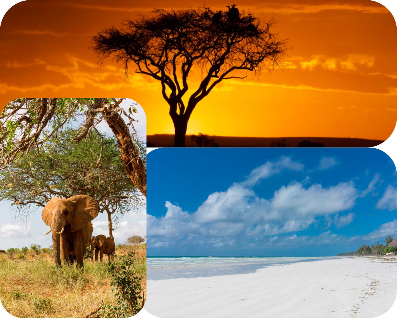 Viaggio in Kenya, gemma dell'Africa